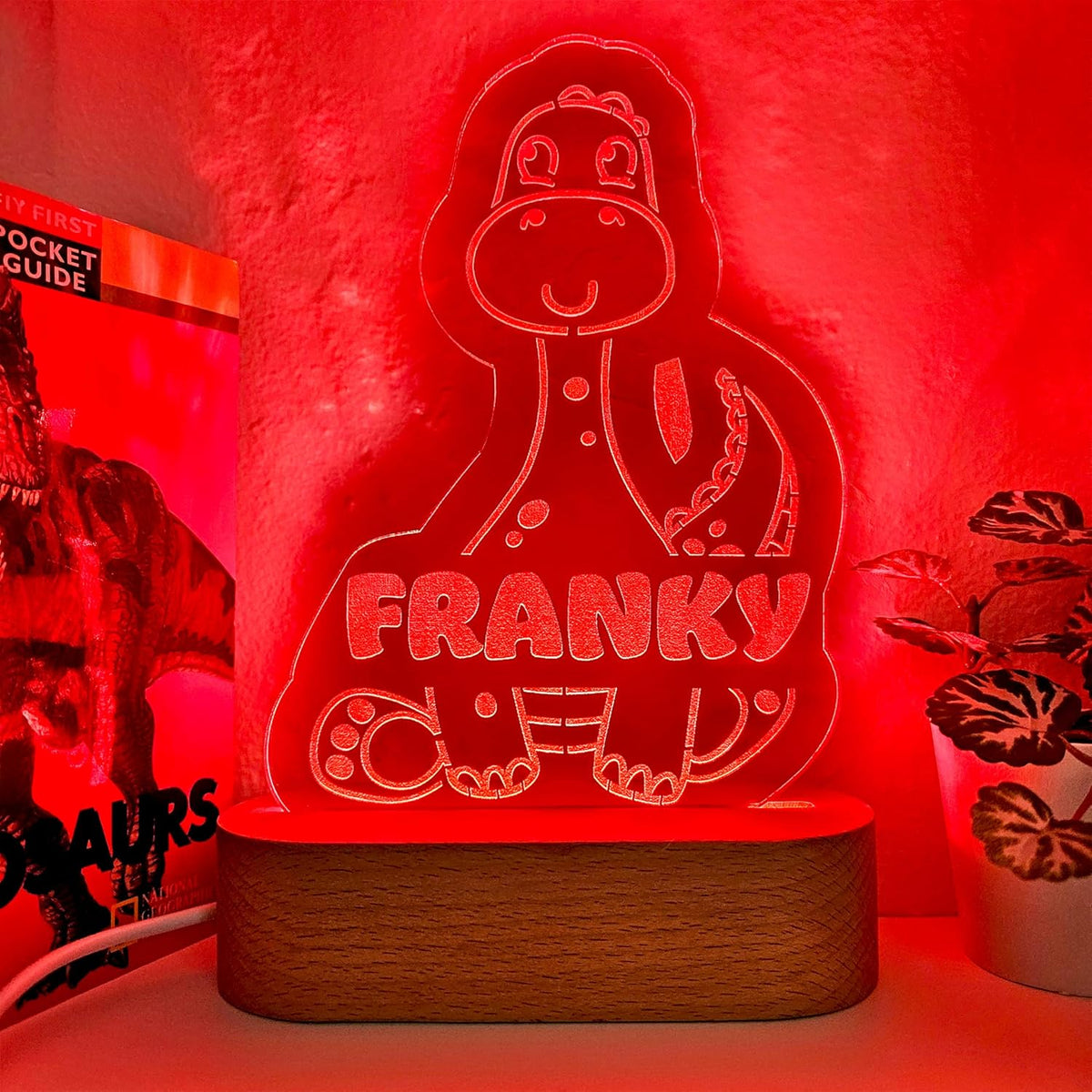 Personalized Night Light | Custom Nightlight for Kids | Nursery Baby Room Decor | Children's
