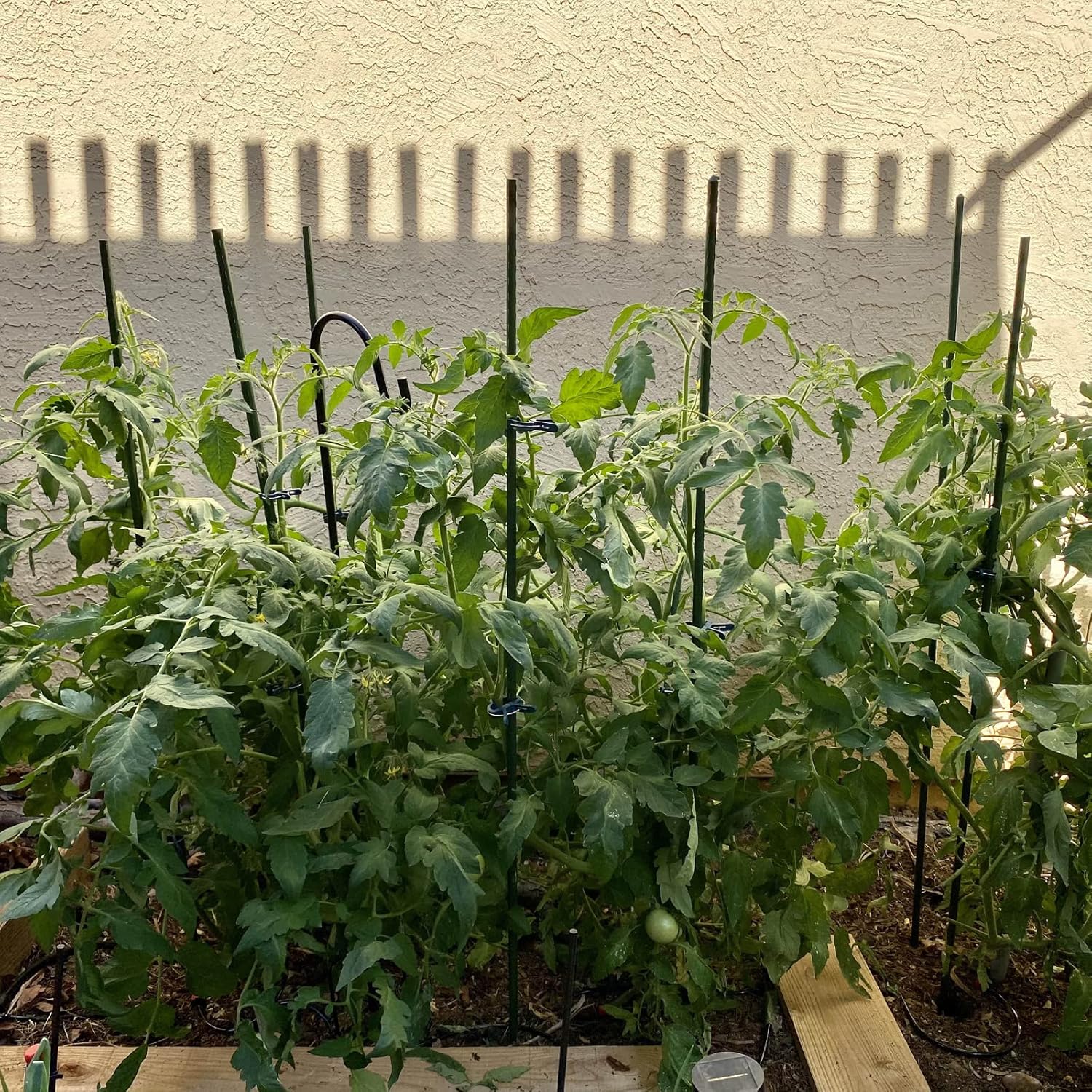 Garmeinea Garden Stakes 48 Inches Plastic Coated Steel Plant Stakes for Growing Climbing Plants