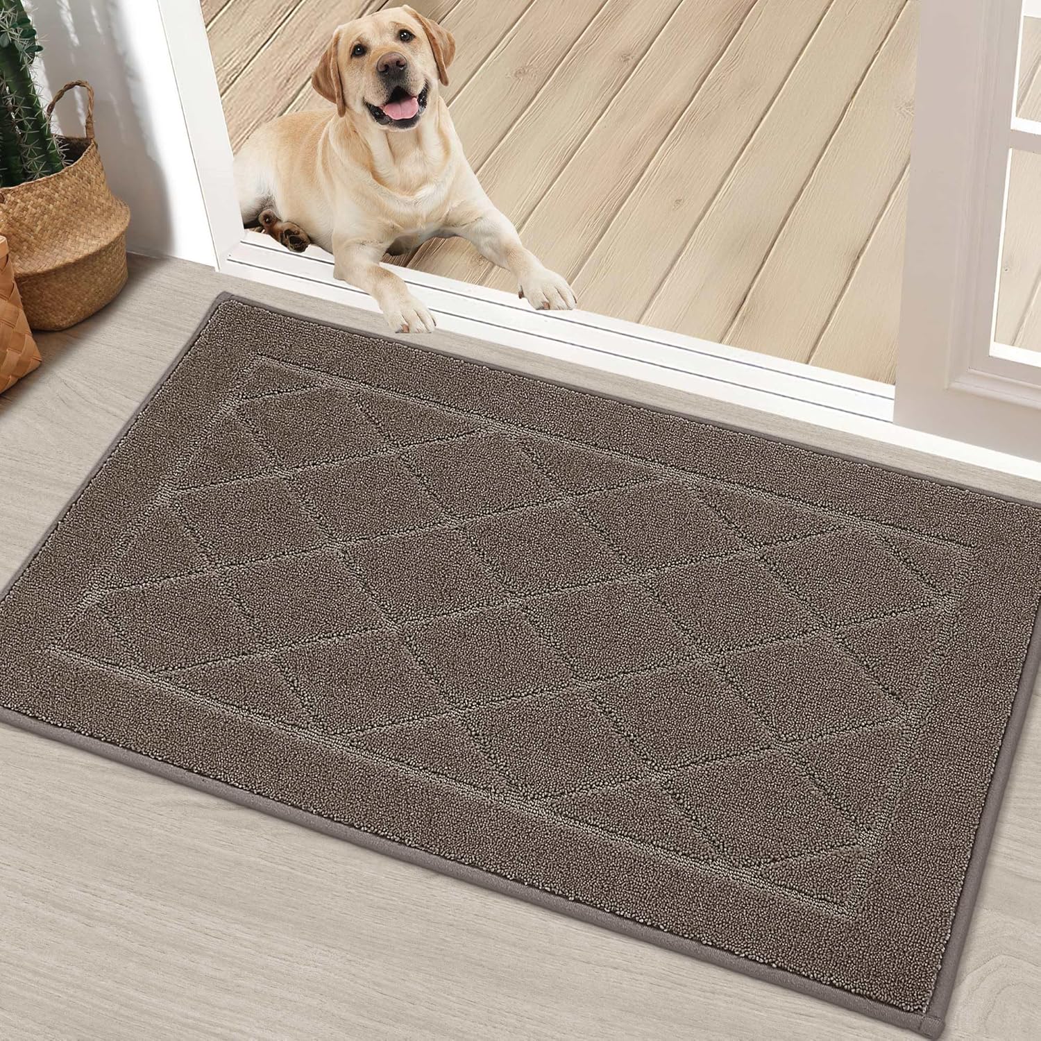 BEQHAUSE Dirt Trapper Door Mat 20" x 32", Doormat Non-Slip Entryway Rugs Washable, Dog Door Mat