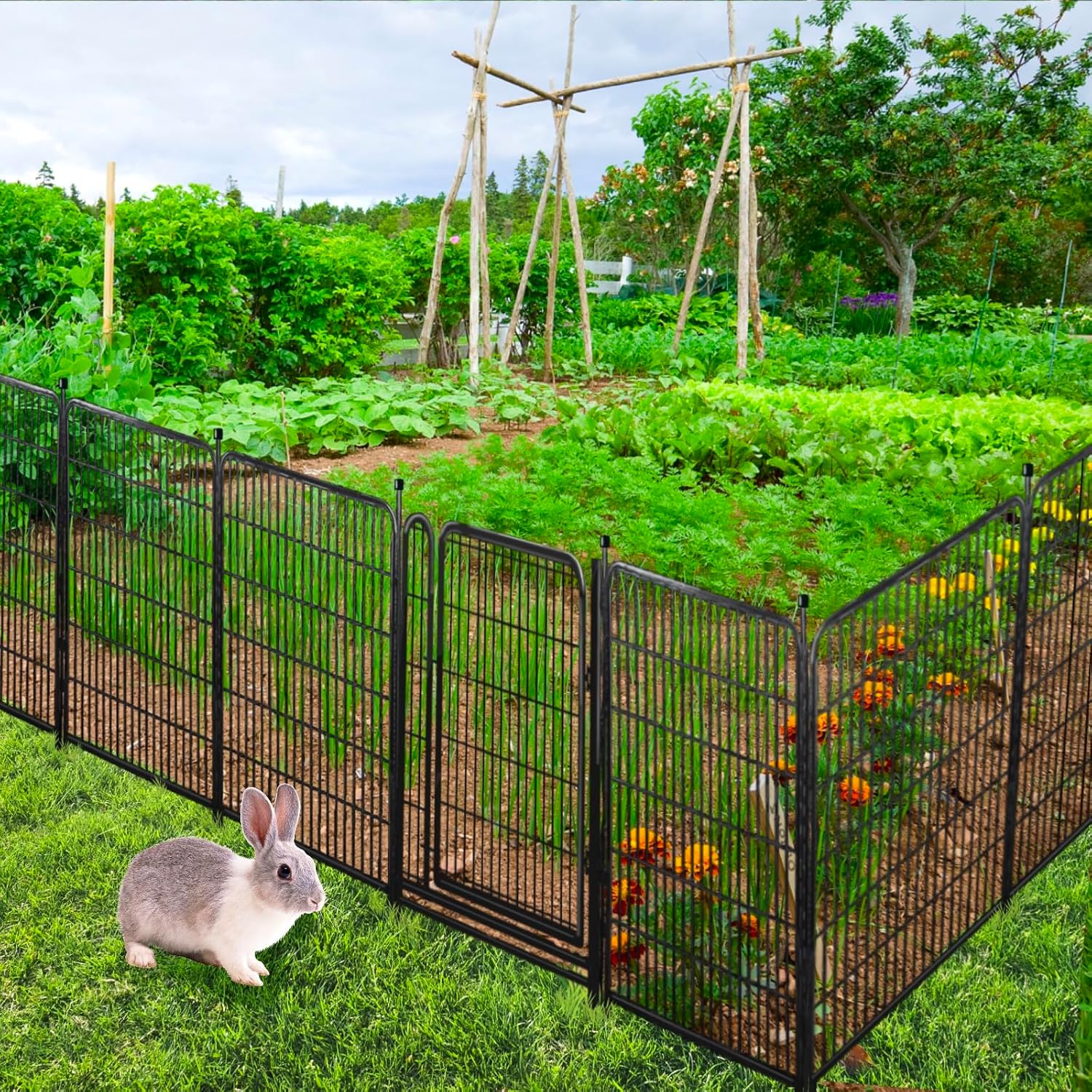 Tall Garden Fence,Wide Gate Low Threshold Fence for Garden, 32in(H) 4 Panels Total 8.9 Ft(L) Animal