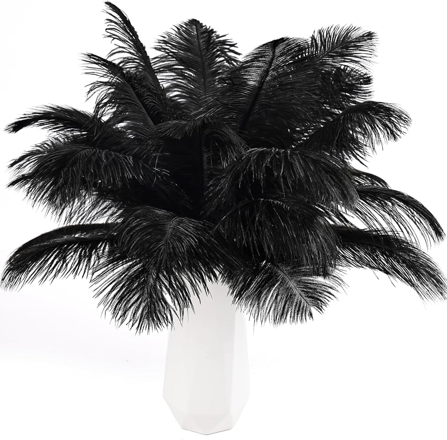 THARAHT Black Ostrich Feathers 24pcs Natural Bulk 8-10Inch 20cm-25cm for Crafts Wedding Party