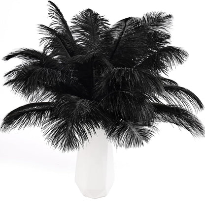 THARAHT Black Ostrich Feathers 24pcs Natural Bulk 8-10Inch 20cm-25cm for Crafts Wedding Party