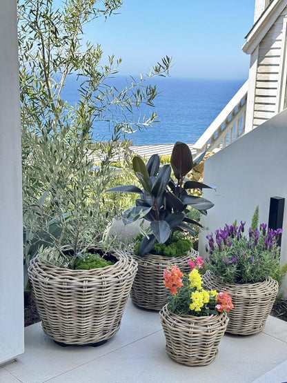 Rattan Kobo Indoor Outdoor Planter Basket with Plastic Pot X Small 1 Gallon Soil Capacity