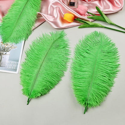 THARAHT Green Ostrich Feathers 24pcs Natural Bulk 8-10Inch 20cm-25cm for Crafts Wedding Party