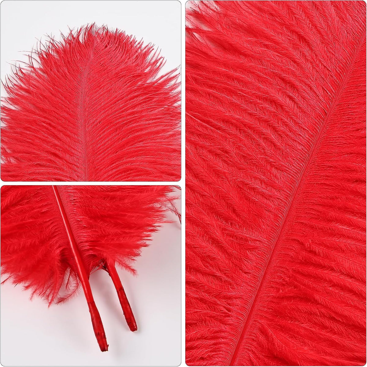 THARAHT Red Ostrich Feathers 12pcs Natural Bulk 8-10Inch 20cm-25cm for Crafts Wedding Party