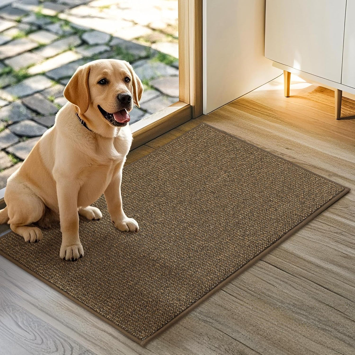 JSEI Dirt Trapper Door Mat 20"x32" Non-Slip Washable Entrance Mat, Dog Doormats, Absorbent &