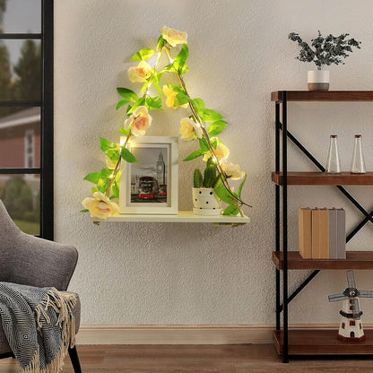 Floating Shelves for Wall,Plant Wall Decor,Hanging Shelf,Cottage Core Decor,Room Decor