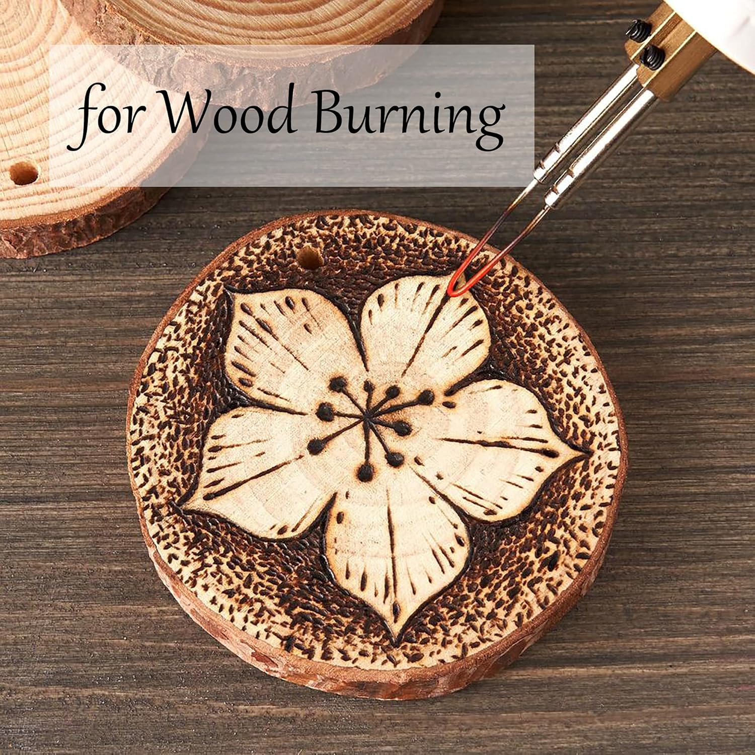 Unfinished Natural Wooden Slices 40 Pcs 3.2-4 Inch Wood Circles for Crafts DIY Christmas Ornament