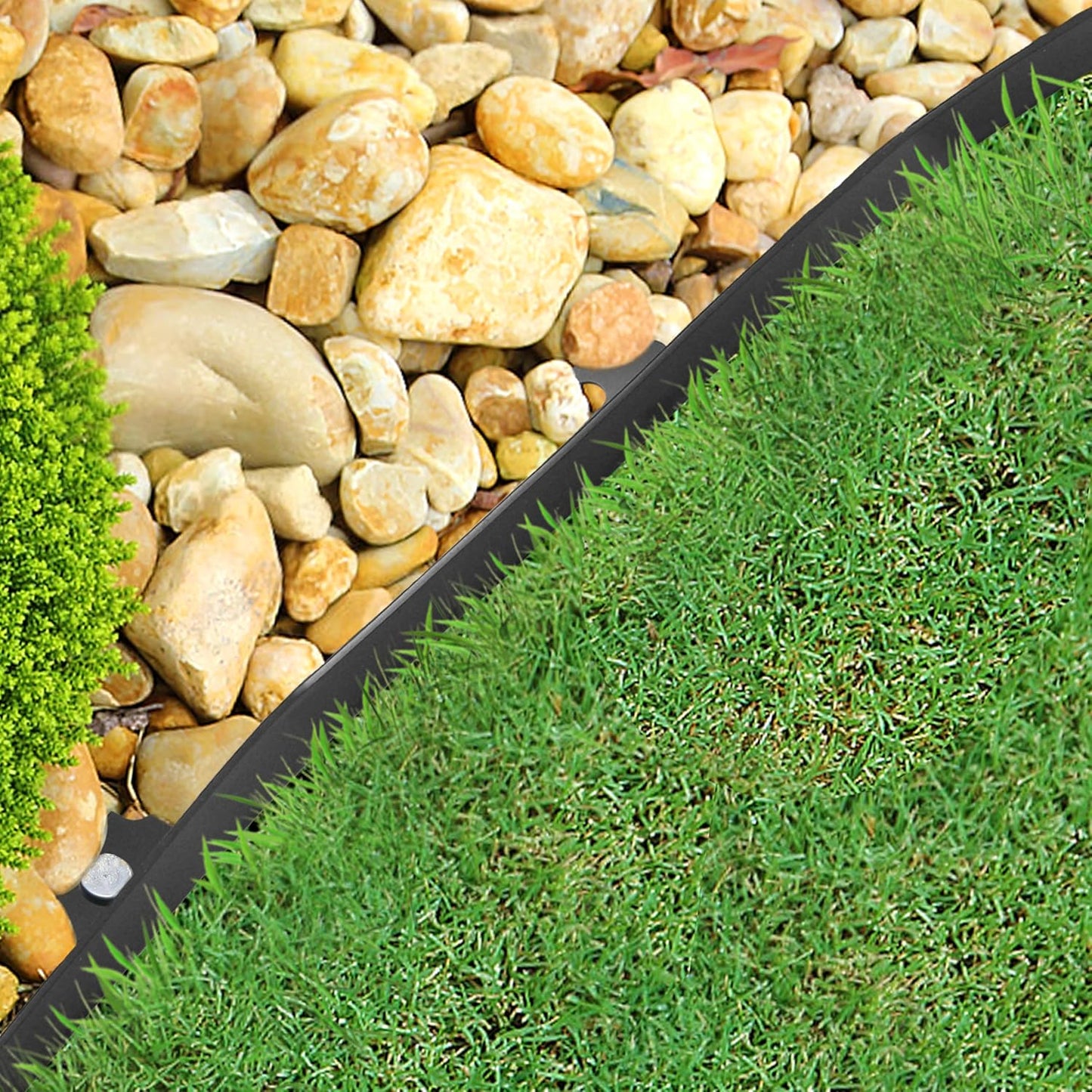 Gardzen 1.5" x 60' Landscape Edging Kit, Garden Edging Coil Comes with 60 Pcs Spikes, No Dig Lawn