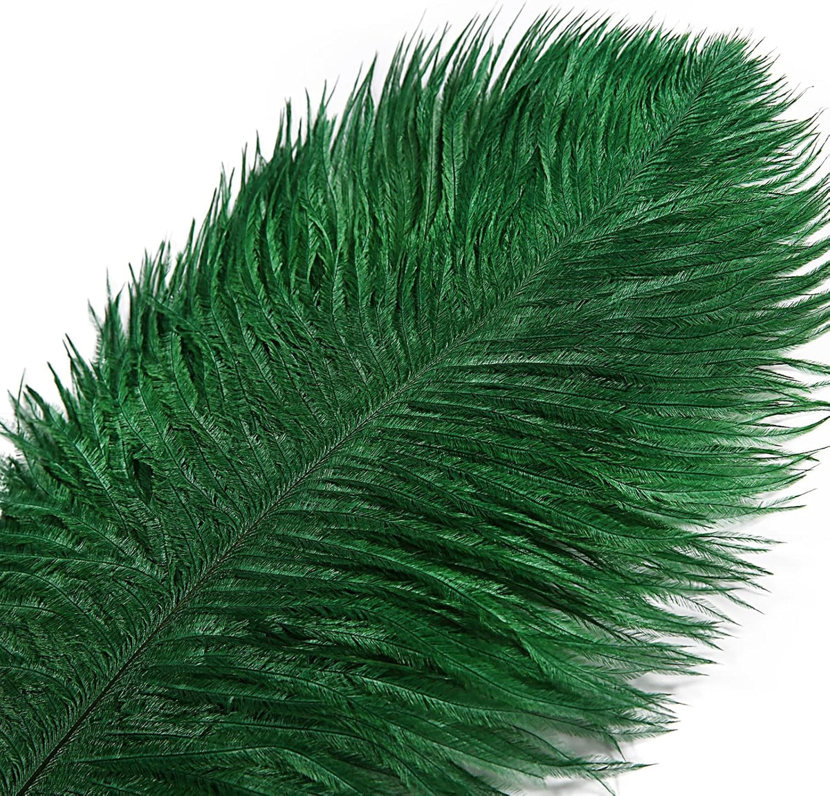 THARAHT Blackish Green Ostrich Feathers 12pcs Large Natural Bulk 12-14Inch 30cm-35cm for Wedding