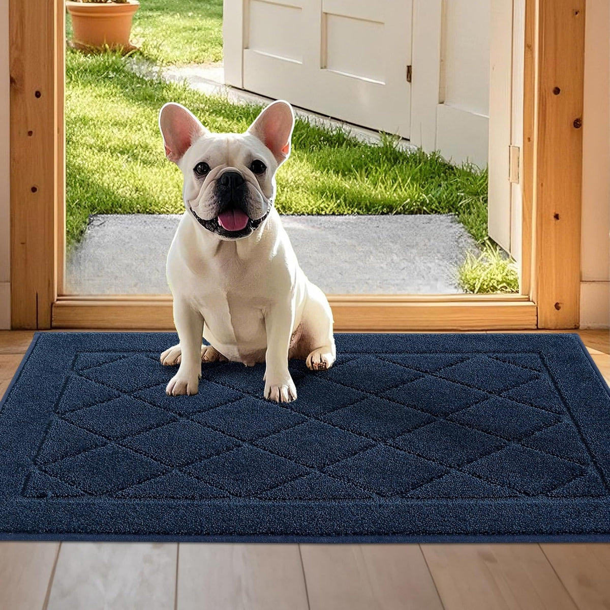 JSEI Dirt Trapper Door Mat 24"x36", Non-Slip Washable Entryway Mats, Dog Door Mat, Stain Resistant