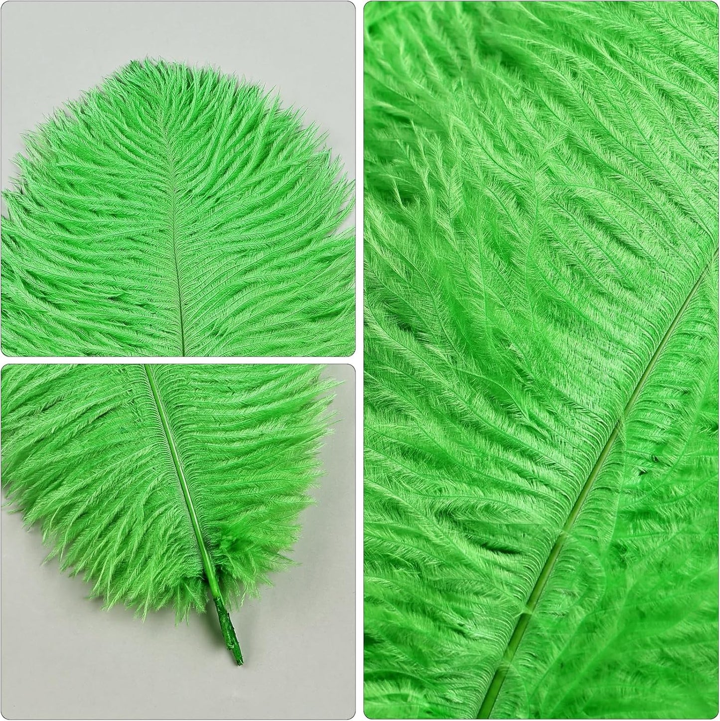 THARAHT Green Ostrich Feathers 24pcs Natural Bulk 8-10Inch 20cm-25cm for Crafts Wedding Party