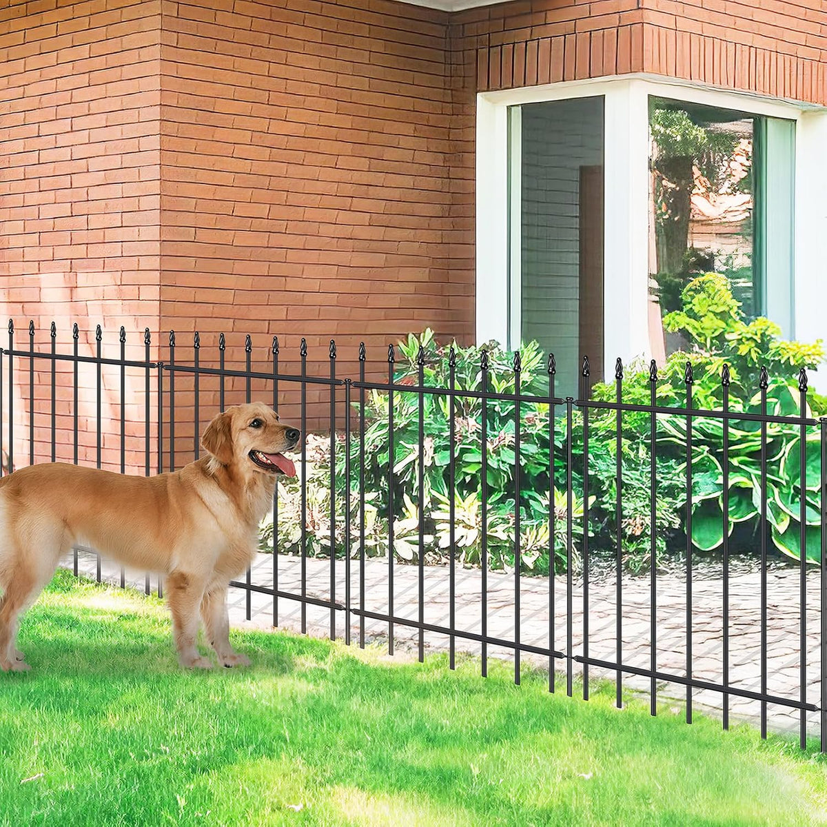 Metal Garden Fence 30 in H x 10 ft L,Border Fence Panels Animal Barrier for Dogs, No Dig Garden