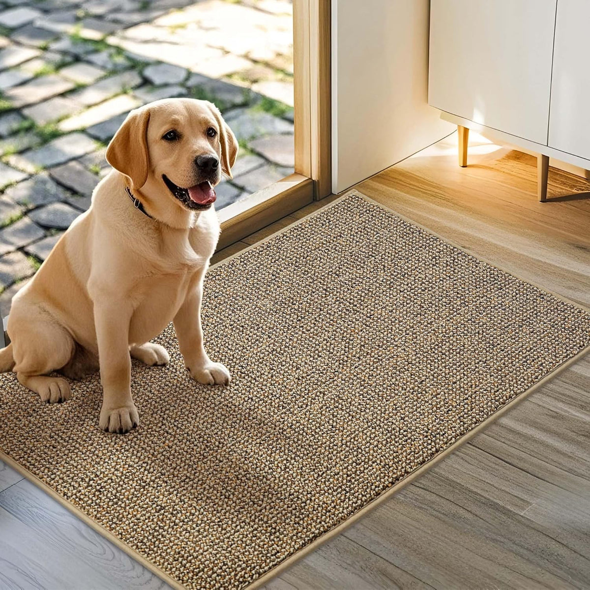 JSEI Dirt Trapper Door Mat 24"x36" Non-Slip Washable Entrance Mat, Dog Doormats, Absorbent &