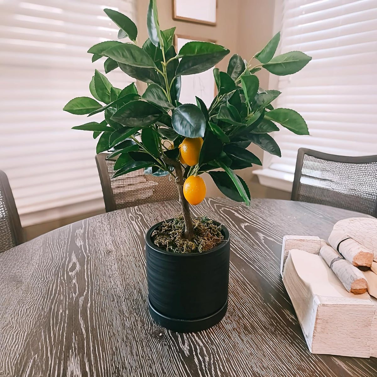6 Inch Plant Pots, Ceramic Planter Pot with Drainage Hole & Saucer, Indoor/Outdoor Cylinder Round