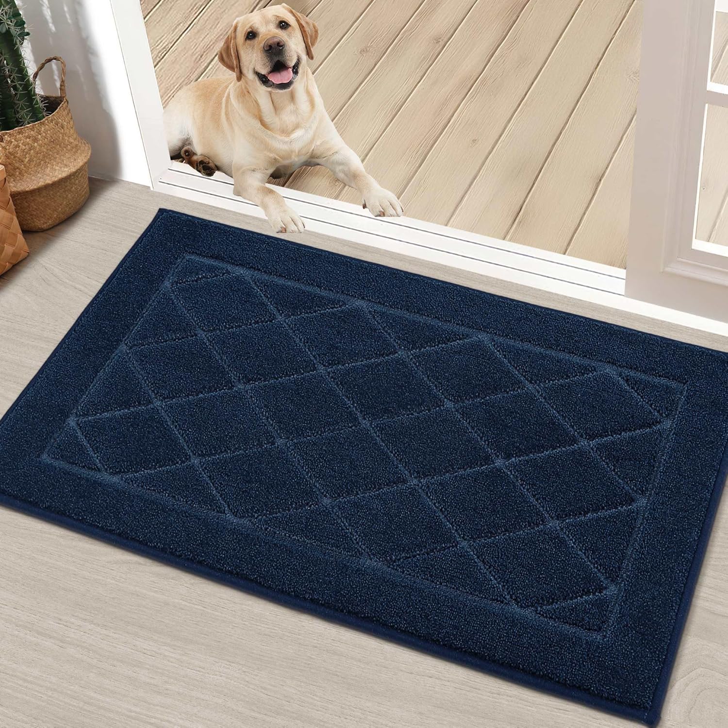 BEQHAUSE Dirt Trapper Door Mat 20" x 32", Doormat Non-Slip Entryway Rugs Washable, Dog Door Mat