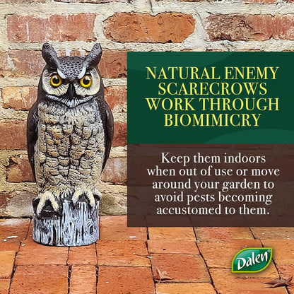 Dalen Large Fake Owl Decoy to Scare Birds Away - Garden Scarecrow Provides Natural Pest Control