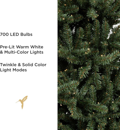 Papyrus 7 ft Pre-Lit Artificial Christmas Tree, Blue Spruce, Warm White Lights, Includes Stand and
