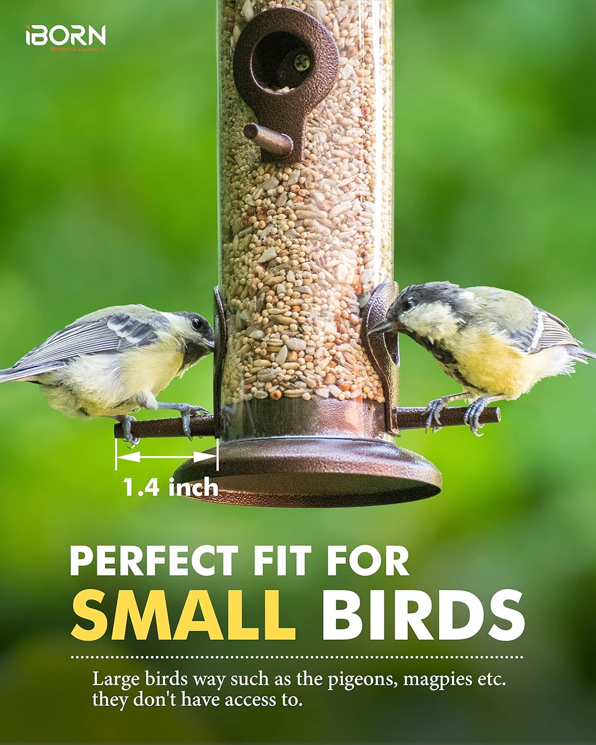 iBorn Metal Bird Feeder Hanging Wild Bird Seed Feeder for Mix Seed Blends Heavy Duty All Metal