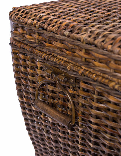 BIRDROCK HOME Rattan Peel Storage Cube | Removable Lid | Spacious Interior Basket | Organizer Bin |
