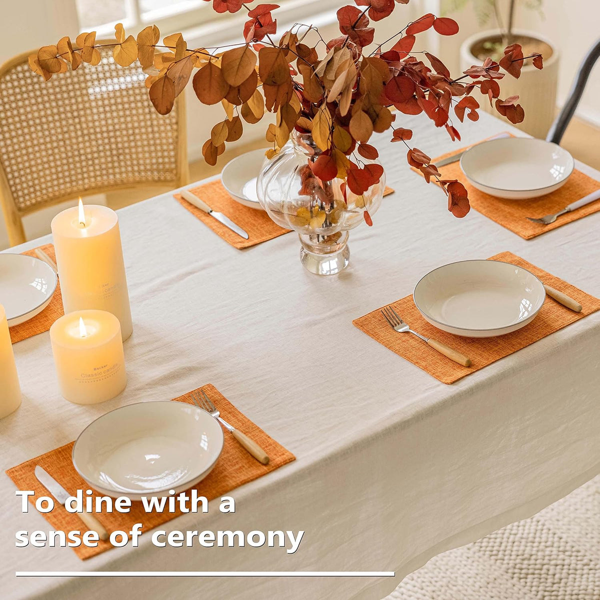 Home Brilliant Cloth Placemats Set of 6 Heat Resistant Dining Table Place Mats for Kitchen Table