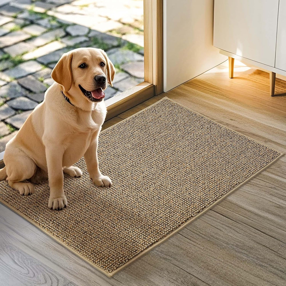 JSEI Dirt Trapper Door Mat 20"x32" Non-Slip Washable Entrance Mat, Dog Doormats, Absorbent &