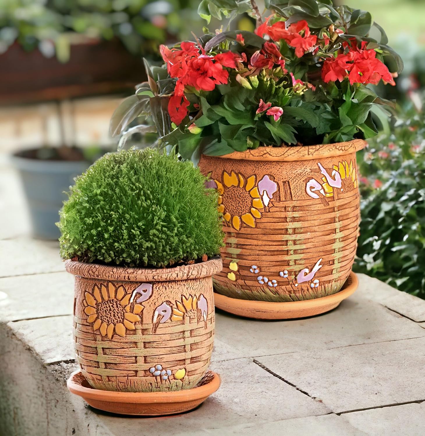 Ceramic Pot with Drainage Hole and Saucer, Plant Pots, Modern Decorative Planters for House Plants