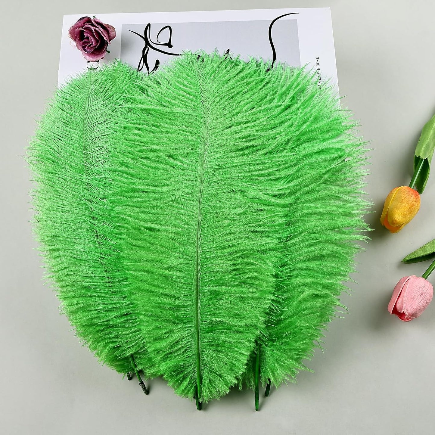 THARAHT Green Ostrich Feathers 12pcs Natural Bulk 8-10Inch 20cm-25cm for Crafts Wedding Party