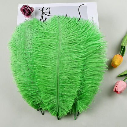 THARAHT Green Ostrich Feathers 12pcs Natural Bulk 8-10Inch 20cm-25cm for Crafts Wedding Party