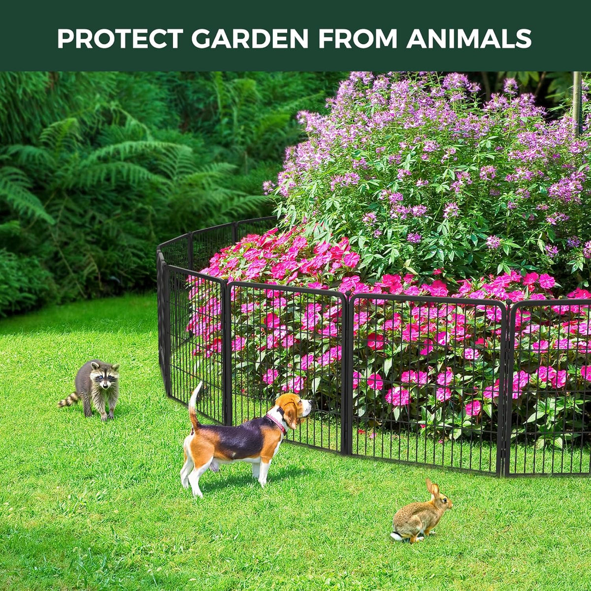 FXW Garden Fence Outdoor for The Yard – 32in(H) x 71.0ft(L) Heavy Duty Metal Animal Barrier for Dog