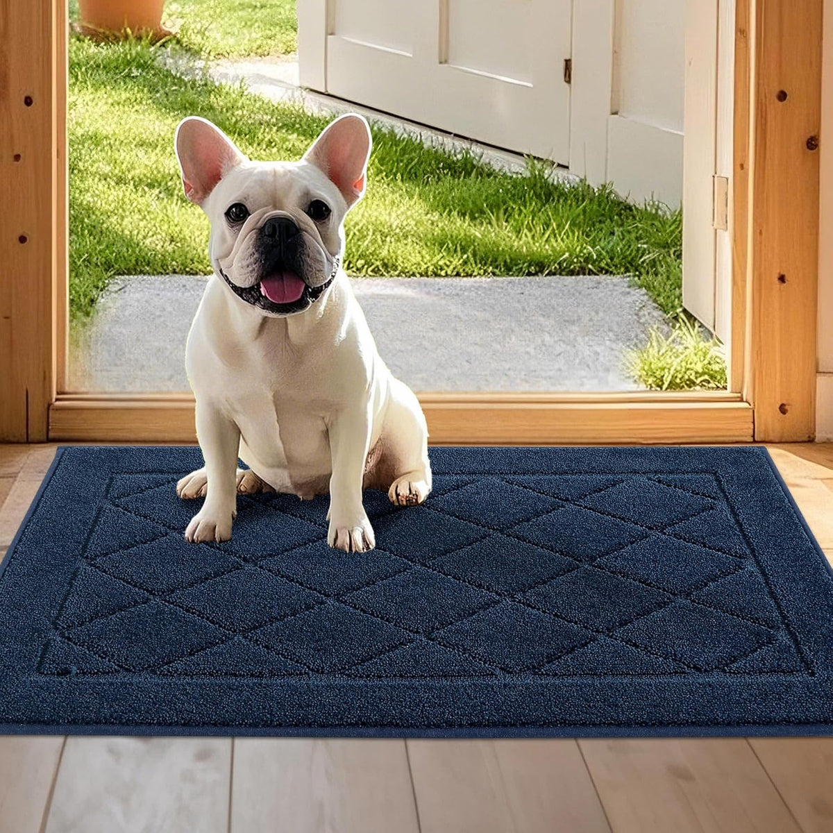 JSEI Dirt Trapper Door Mat 20"x32", Non-Slip Washable Entryway Mats, Dog Door Mat, Stain Resistant