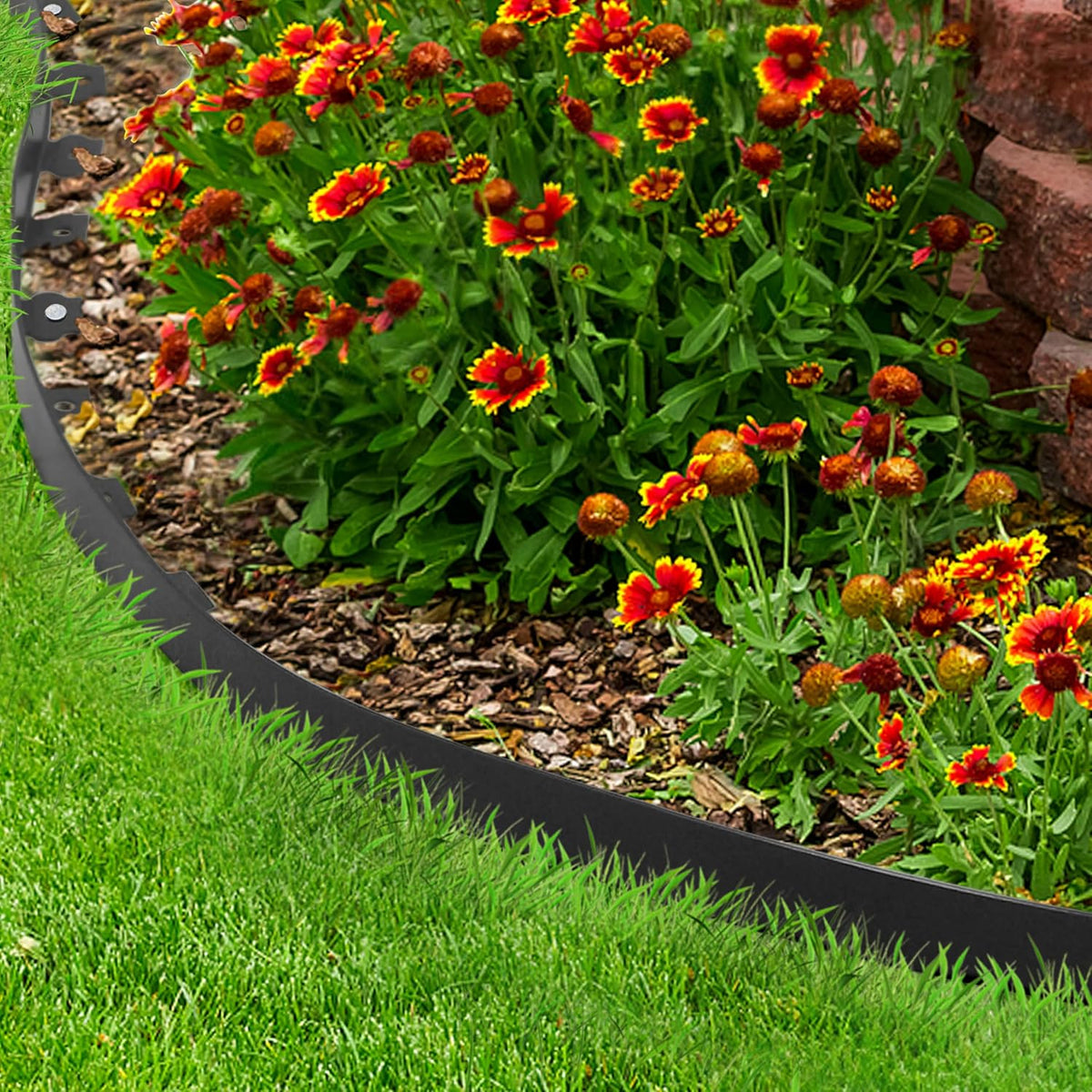 Gardzen 1.5" x 60' Landscape Edging Kit, Garden Edging Coil Comes with 60 Pcs Spikes, No Dig Lawn