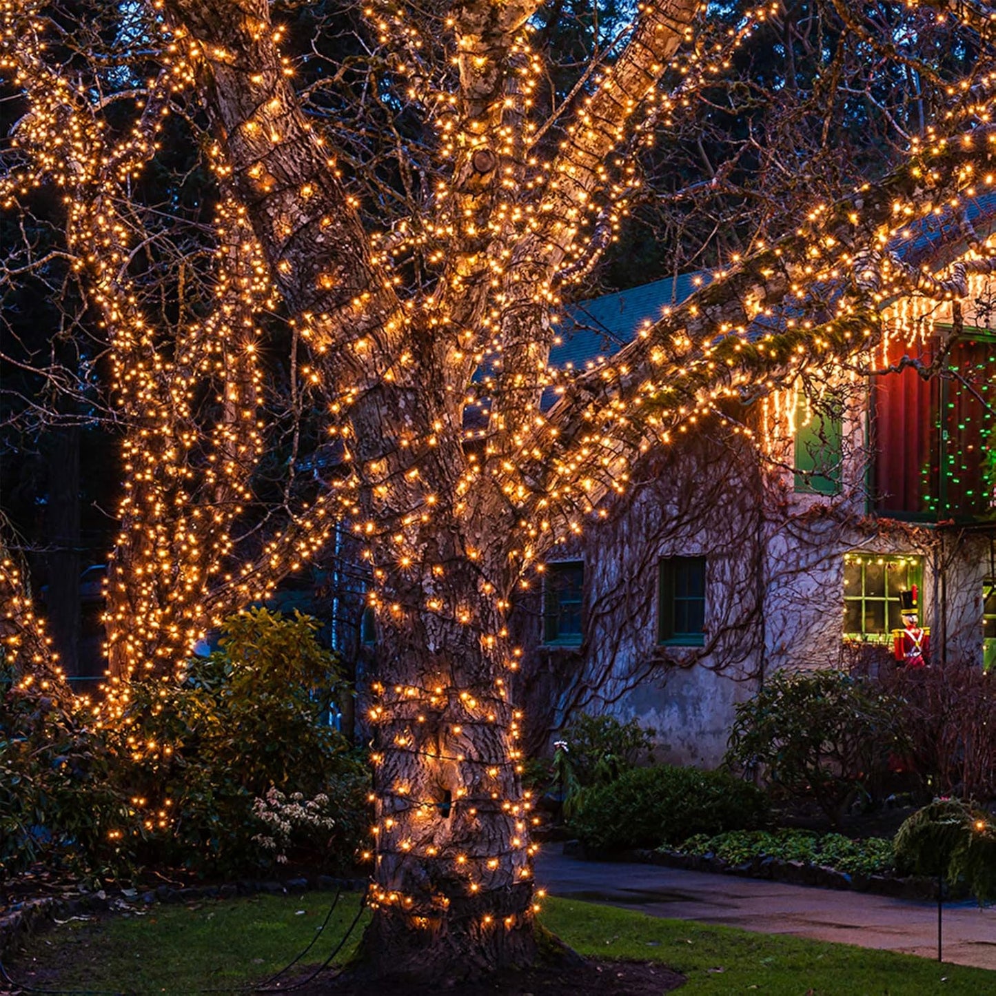 Christmas Lights 100 Count Mini Clear Lights 21ft White Wire Christmas Tree String Lights Set for