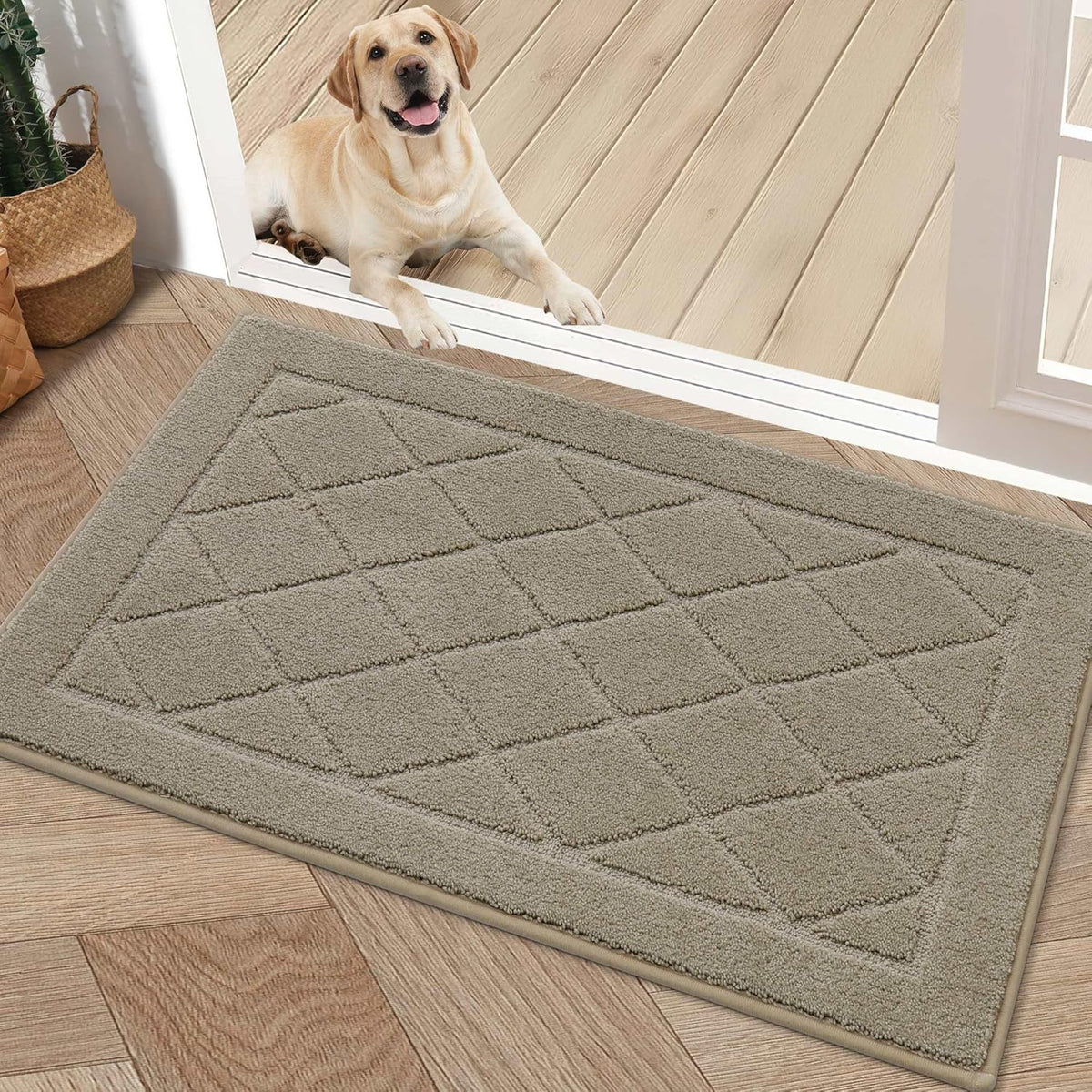 BEQHAUSE Dirt Trapper Door Mat 20" x 32", Doormat Non-Slip Entryway Rugs Washable, Dog Door Mat