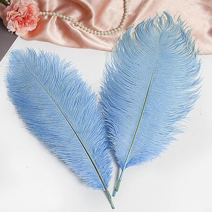 THARAHT Baby Blue Ostrich Feathers 12pcs Large Natural Bulk 14-16Inch 35cm-40cm for Wedding Party