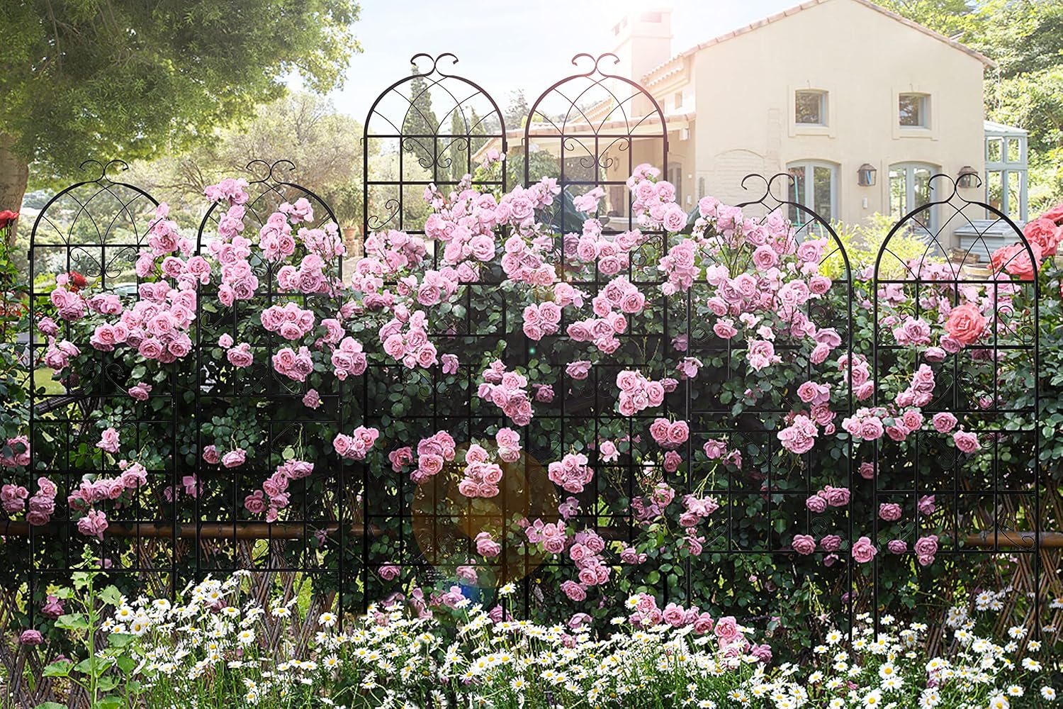LZRS 4 Pack 87x20in Rustic Iron Arch Decoration Garden Trellis with Black Metal Coating – Perfect