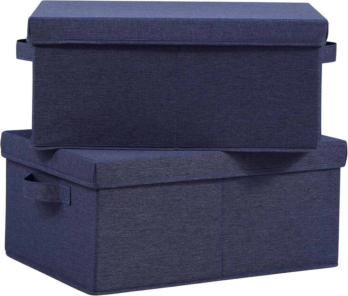 HOONEX Foldable Storage Bins with Lids, Pack of 2, Storage Boxes with 2 Carrying Handles and Heavy