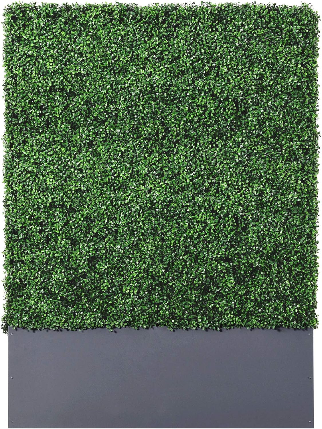 AGPL Artificial Boxwood Hedge Wall with Dark Gray Stainless Steel Planter Box(64" H 48" W 12" D)