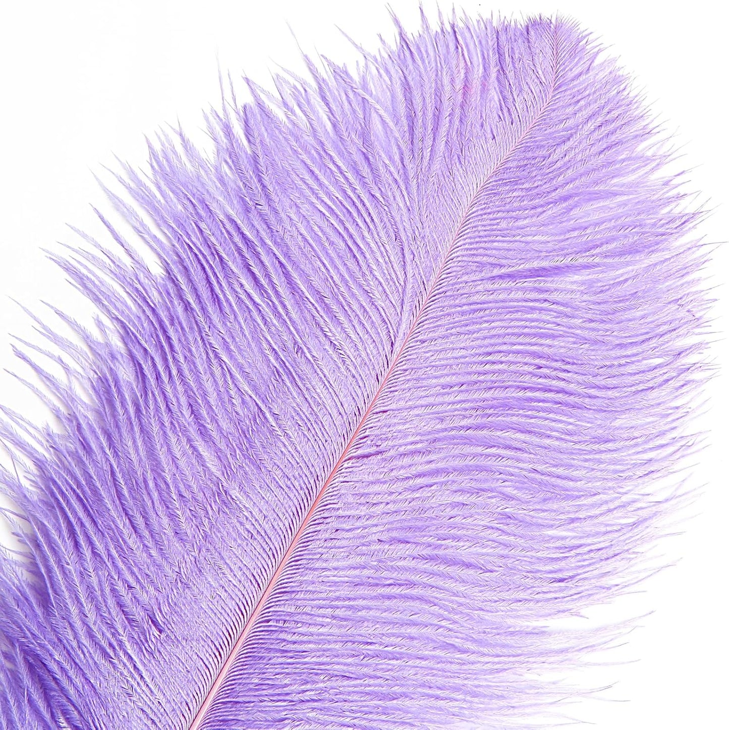 THARAHT Lavender Ostrich Feathers 12pcs Large Natural Bulk 12-14Inch 30cm-35cm for Wedding Party