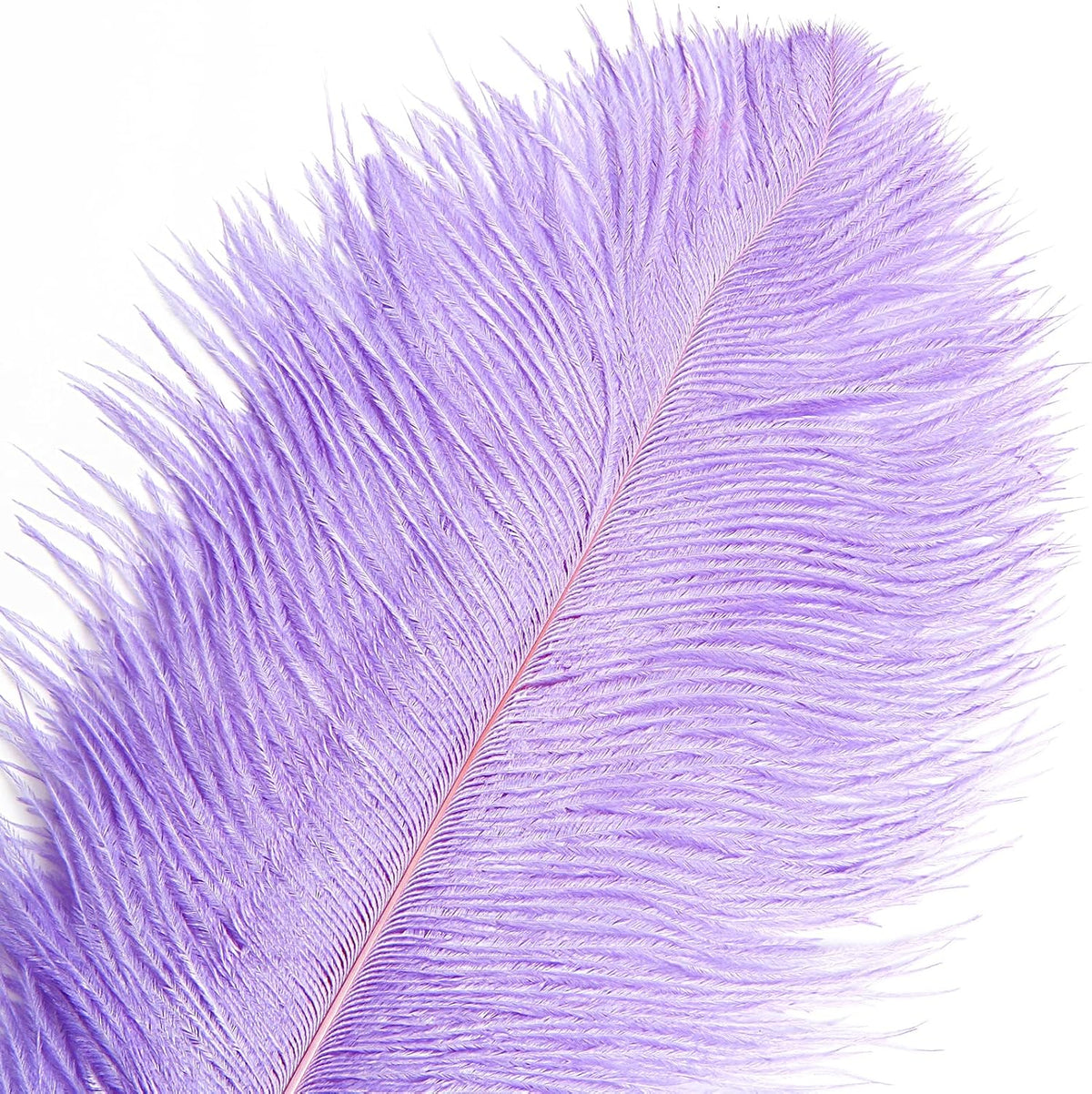 THARAHT Lavender Ostrich Feathers 12pcs Large Natural Bulk 12-14Inch 30cm-35cm for Wedding Party