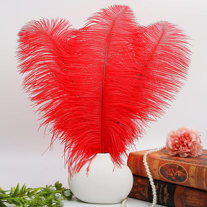 THARAHT Red Ostrich Feathers 12pcs Large Natural Bulk 16-18Inch 40cm-45cm for Wedding Party