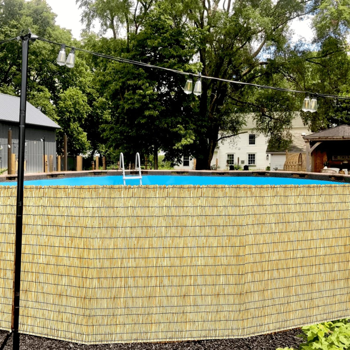 Bamboo Reed Fencing, Natural Bamboo Fence Rolls 6 Feet High, Decorative Privacy Screen Reed