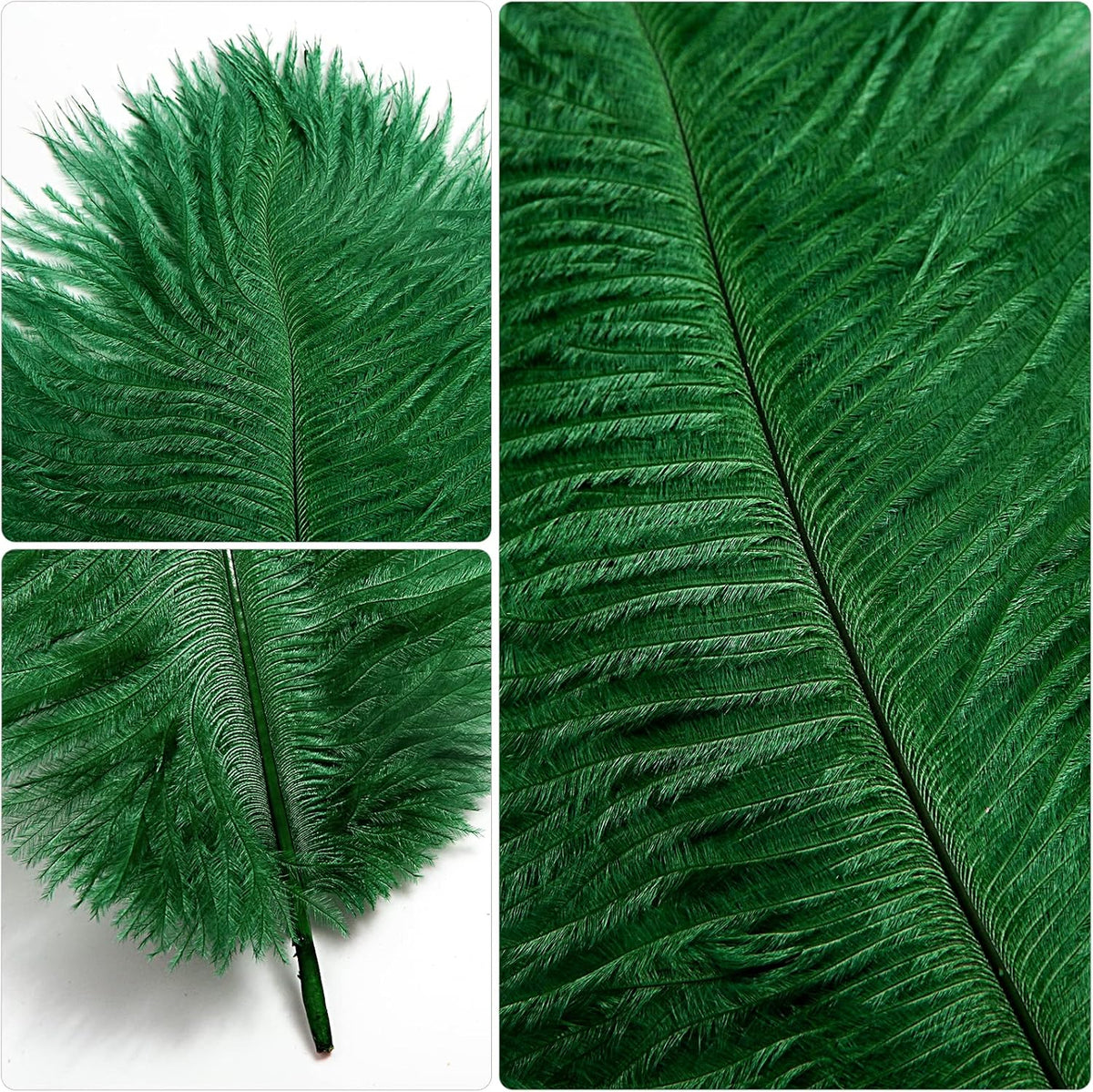 THARAHT Blackish Green Ostrich Feathers 12pcs Natural Bulk 10-12Inch 25cm-30cm for Crafts Wedding