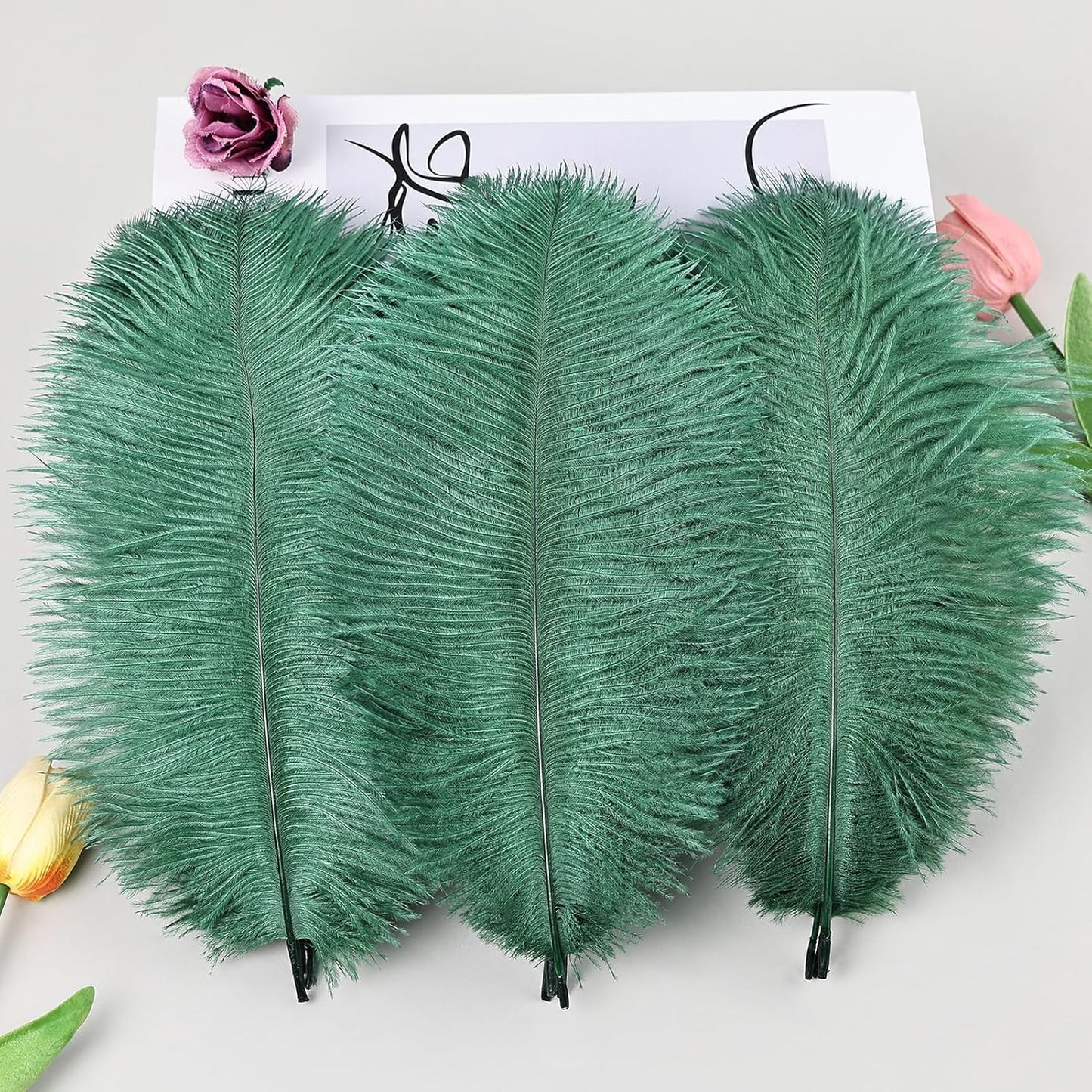 THARAHT Blackish Green Ostrich Feathers 12pcs Natural Bulk 8-10Inch 20cm-25cm for Crafts Wedding