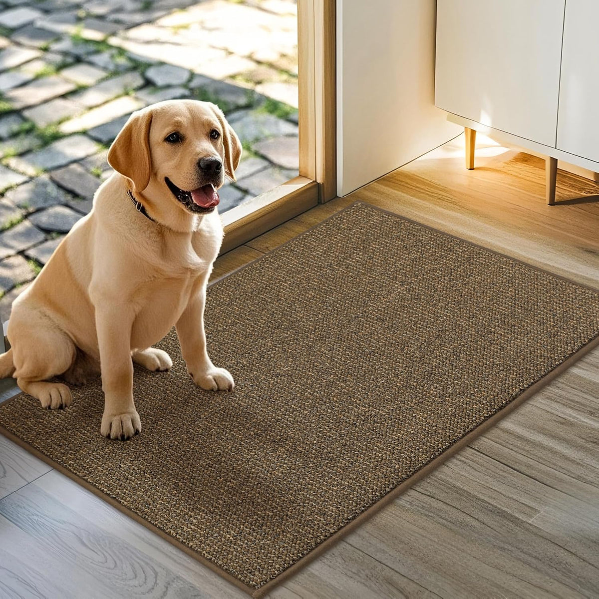JSEI Dirt Trapper Door Mat 32"x48" Non-Slip Washable Entrance Mat, Dog Doormats, Absorbent &