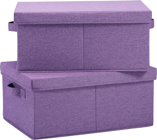 HOONEX Foldable Storage Bins with Lids, Pack of 2, Storage Boxes with 2 Carrying Handles and Sturdy