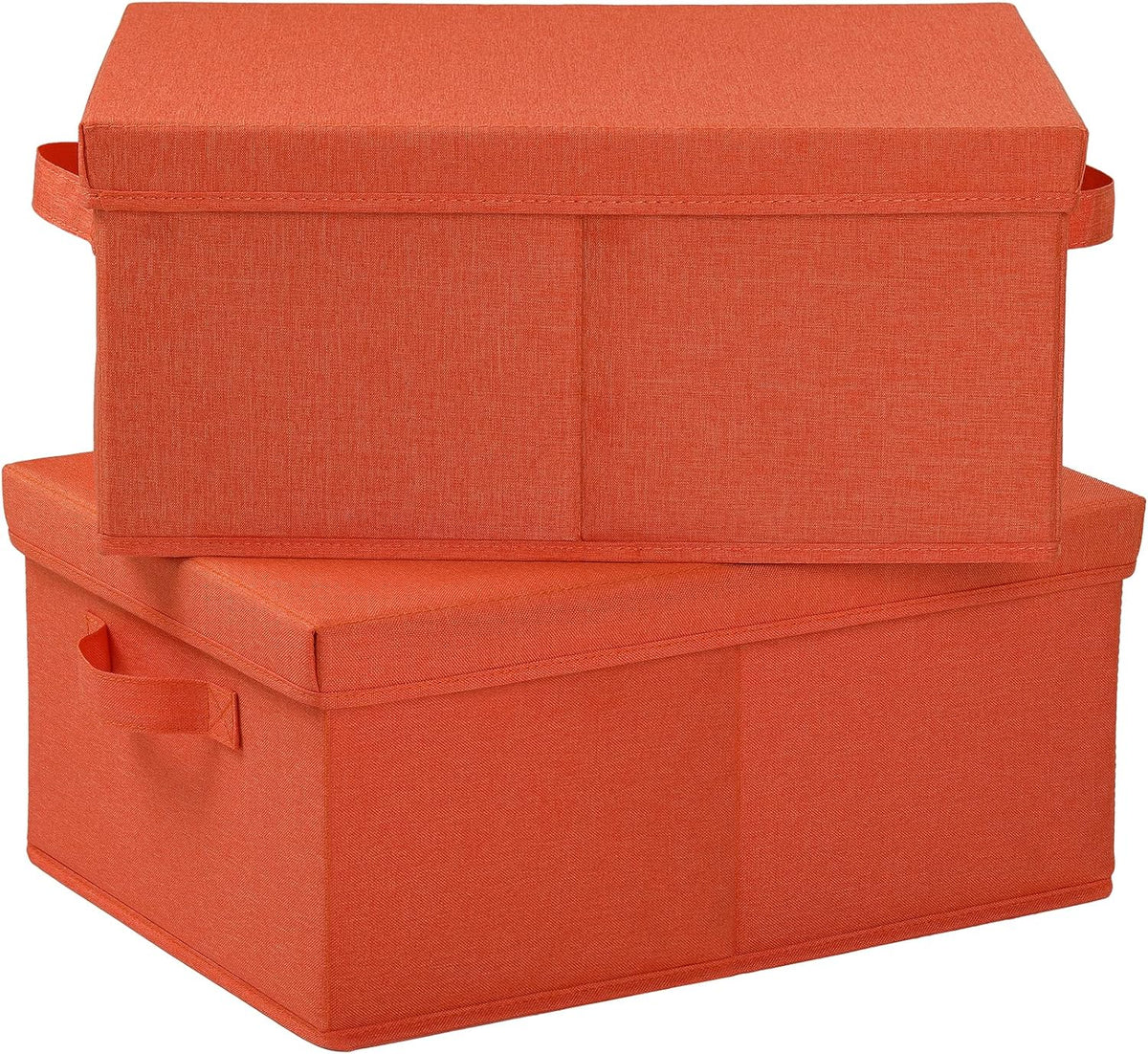 HOONEX Storage Bins with Lids for Organizing, Pack of 2, Storage Boxes with 2 Carrying Handles and