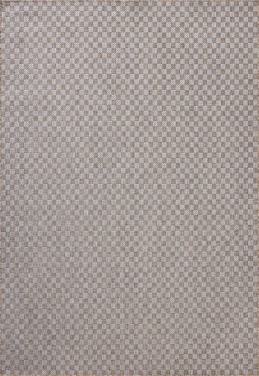 Loloi Amber Lewis Topanga Collection TOP-02 Natural/Silver 3'-11" x 5'-11" Indoor/Outdoor Accent Rug